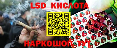 стафф Моздок