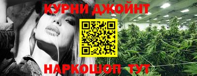 mdpv Можга
