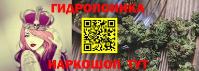 mdpv Можга